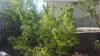 20160924_145500.jpg