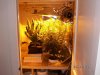 Grow Closet 092.jpg