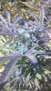 downloadfile-20.jpeg