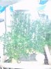 20160929_081629.jpg