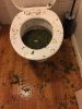 Toilet-overflowing-with-cannabis.jpg