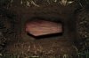 coffin_0.jpg