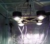 Mod420 Growlight in the tent - first power up pic2.jpg