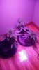 20161019_085230.jpg