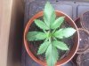 Photo025.jpg