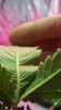 20161020_212016.jpg