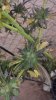 20161023_101014.jpg