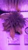 20161113_080835.jpg