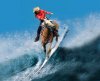 Funny-Surfing-With-Horse.jpg