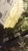 20170112_225847.jpg