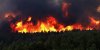 australia-forest-fire.jpg