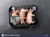 dead-pig-three-toy-plastic-pigs-in-supermarket-meat-packaging-AX3G67.jpg