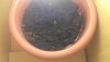 20170130_223155.jpg