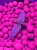 IMG-20170116-WA0002.jpg