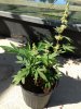 IMG_20170220_103445440_BURST001.jpg