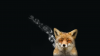 piccit_smoking_fox_1920x1080_414039839.png