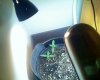 022507_16291.jpg