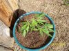 babies3-1 002.jpg