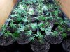 20170307_175449.jpg