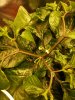20170328_190900.jpg