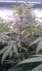 20170401_023729.jpg