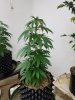 20170331_110728.jpg