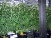100_2479.JPG
