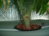 P1010003.jpg