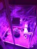 ghetto ass grow room.jpg