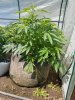 20170418_143759.jpg