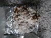 IMG_20170427_200341.jpg