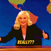 178912-amy-poehler-really-gif-imgur-t-xSay.gif