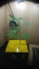20170502_192515.jpg