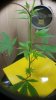 20170503_191221.jpg