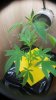 20170503_191236.jpg