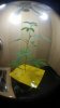 20170504_194040.jpg