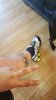 20170507_141312.jpg