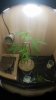 20170505_211132.jpg