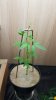 20170506_191627.jpg