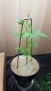 20170506_191652.jpg