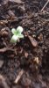 20170508_111617.jpg