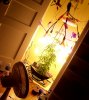 031709-3.jpg