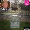 donald-trump-tombstone-in-central-park-lead.jpg