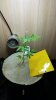 20170510_062734.jpg