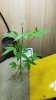 20170510_062748.jpg