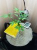 20170511_184819.jpg