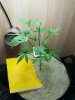20170511_200420.jpg