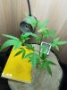 20170511_200424.jpg