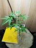 20170512_072859.jpg