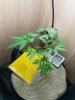 20170512_072903.jpg